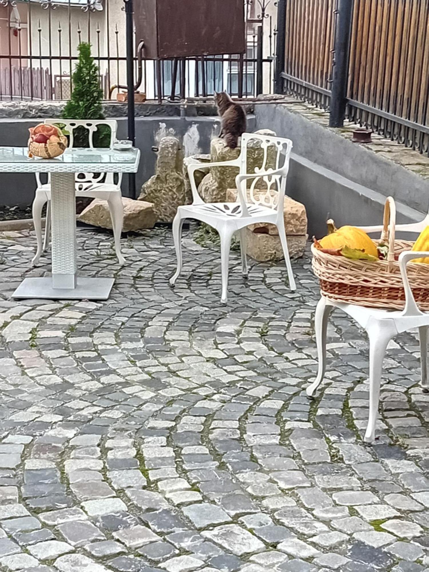Casa Continentelor Hotel Câmpulung Bagian luar foto